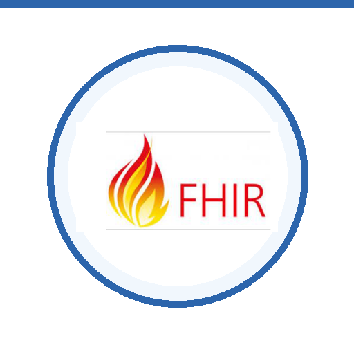 XiA IT professionals and FHIR learning